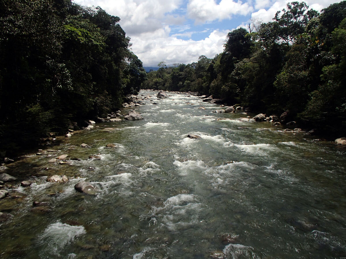 Ecuadorian Rivers Institute