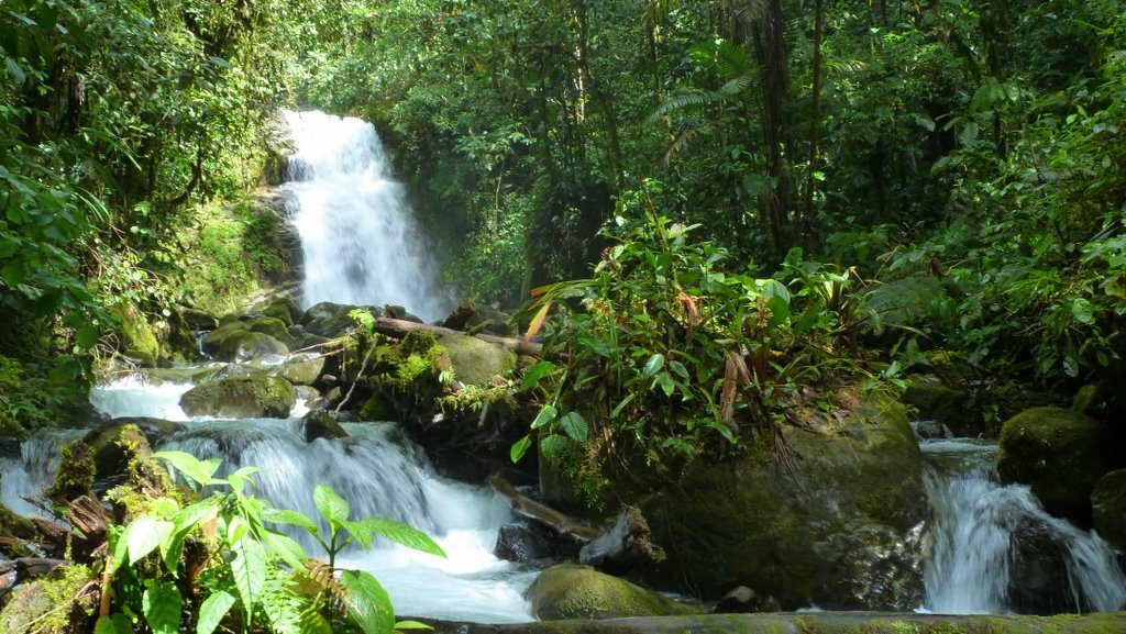 Photo by Andreas Kay;